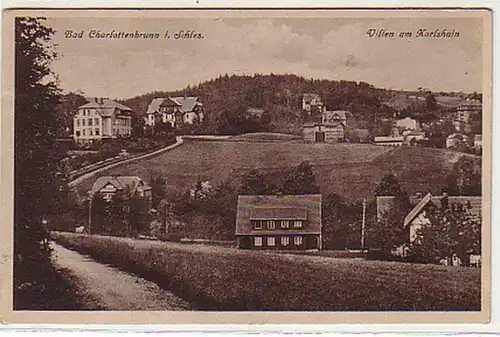 34715 Ak Bad Charlottenbrunn Villas sur Karlshain 1920