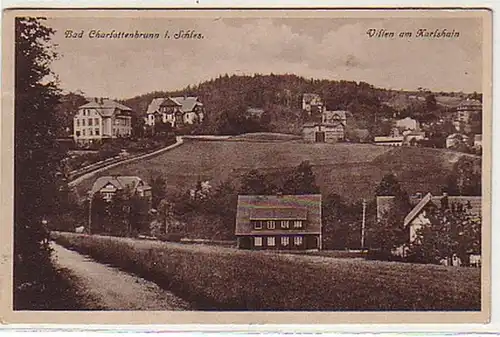 34715 Ak Bad Charlottenbrunn Villen am Karlshain 1920