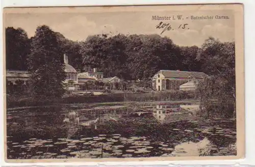 34299 Feldpost Ak Münster I.W. Jardin botanique 1915
