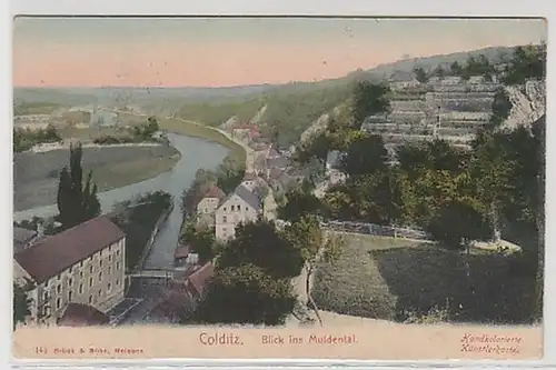 33958 Ak Colditz Blick ins Muldenthal 1907