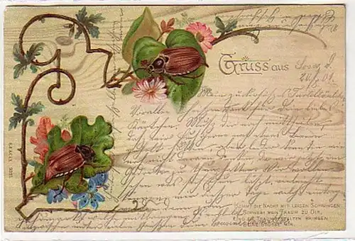 33782 Grousse d'Ak avec deux scarabées 1901