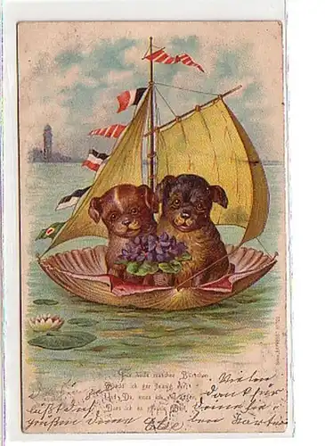 33780 Ak Muschel Segelboot mit 2 kleinen Hunden 1901
