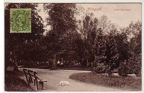 33249 Ak Alingsas Storc Plantaget in Schweden 1908