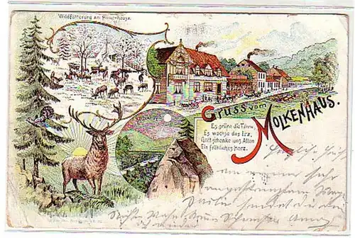 33062 Ak Lithographie Gruss aus Molkenhaus 1902