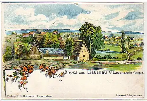 32575 Ak Gruss aus Liebenau b. Lauenstein um 1900