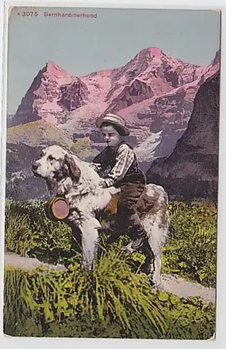 32509 Ak Schweiz Bernhardinerhund mit Kind 1912