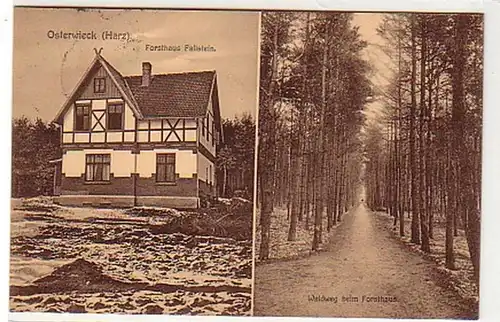 32495 Multi-image Ak Osterwieck (Harz) Forsthaus 1911