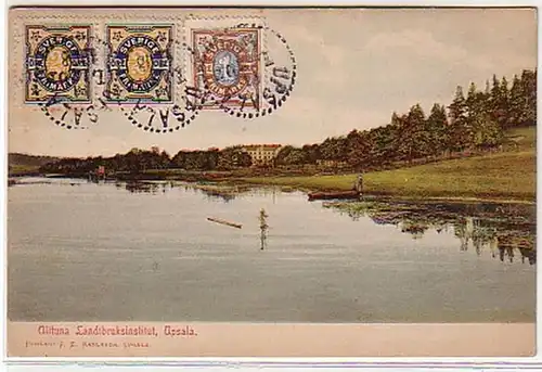 32325 Ak Upsala Ulltuna Landtbruksinstitut 1908