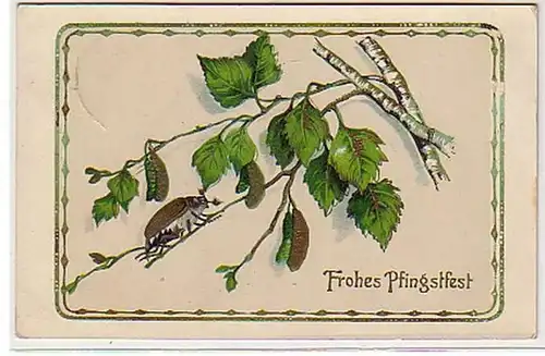32226 Ak Frohes Pfingstfest mit Maikäfer 1913