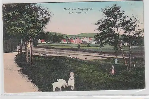 32175 Ak Gruß aus Vogelsgrün bei Auerbach i.V. 1910