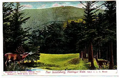 32095 Ak Der Inselsberg im Thüringer Wald um 1908