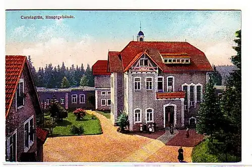 32088 Ak Carolagrün Hauptgebäude um 1920