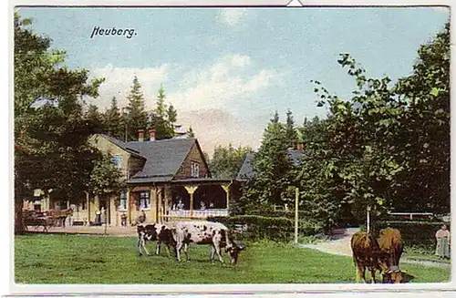 32026 Ak Heuberg Gast. 1916