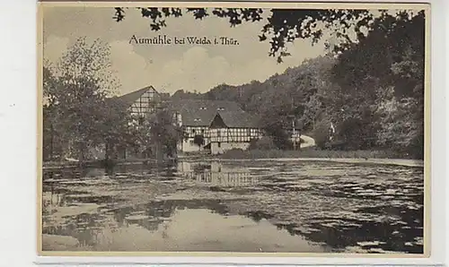 31914 Ak Aumühle bei Weida in Thüringen um 1930