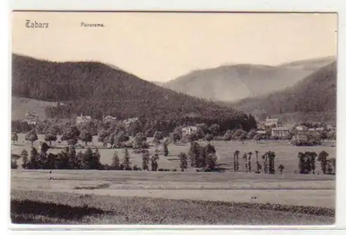 31907 Ak Tabarz Panorama um 1908