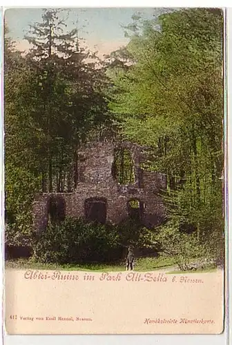 31877 Ak Abtei Ruine im Park Alt-Zella bei Nossen 1900