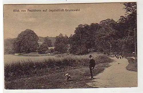 31859 Ak Blick v. Paulsborn a. Jagdschloß Grunewald 1922