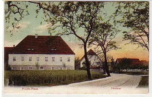 31682 Ak Dommitzsch Palnts Haus Försterei 1910