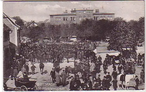 31661 Ak Buttstädt Pferdemarkt um 1910