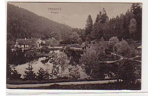 31502 Feldpost Ak Triberg Bergsee 1917
