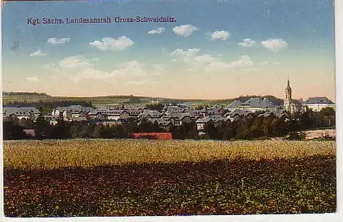 31401 Ak Kgl. Sächs. Landesanstalt Gross-Schweidnitz 1913