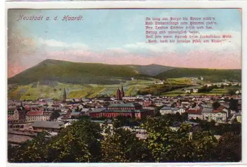 31250 Ak Neustadt an der Haardt Totalansicht 1911