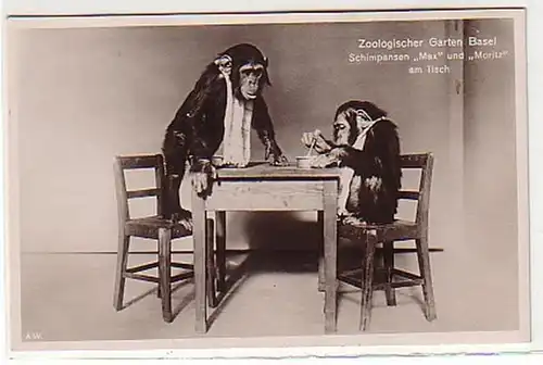 31186 Ak Zoologischer Garten Basel Schimpansen um 1930