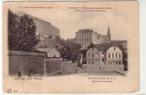 31000 Ak Gruß aus Prag botanischer Garten um 1910