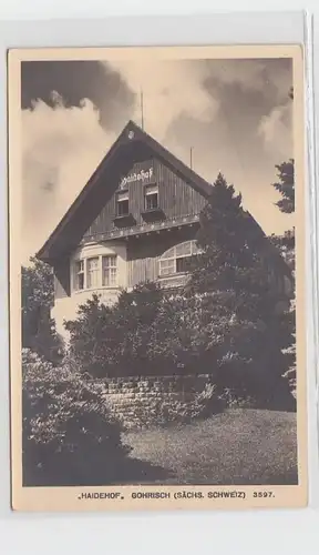 30935 Ak Gohrisch "Haidehof" Sächs. Schweiz um 1930