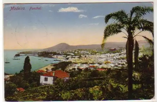 30837 Ak Madère Funchal Portugal 1913