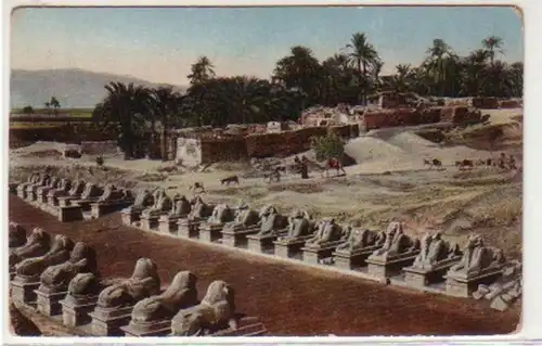30751 Ak Karnak Sphinx-Straße um 1920
