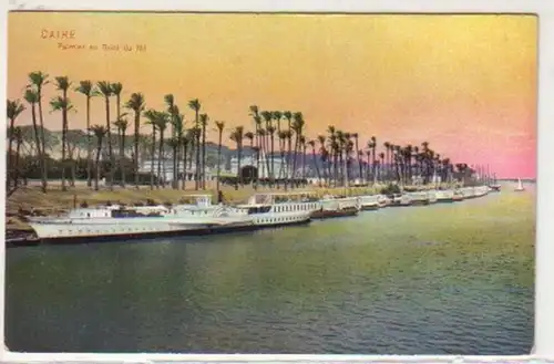 30744 Ak Cairo Kairo Palmen am Nil um 1920