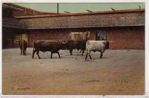 30684 Ak Espagne enfermée buffles Bullen vers 1920