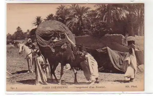 30582 Ak Sahara Oase Händler mit Dromedar um 1920