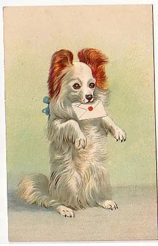 30329 Humor Gaufre Ak chien avec lettre dans la bouche vers 1910