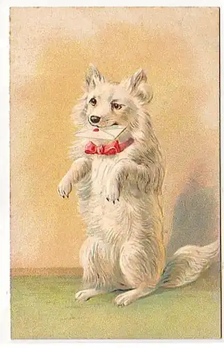 30320 Humor Präge Ak Hund mit Brief im Maul um 1910