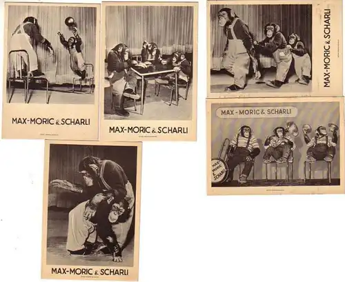 30078/5 Publicité Cartes Chimpanzés Show Budapest vers 1930