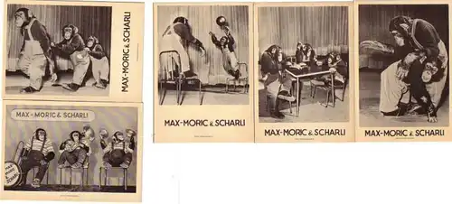 30063/5 Reklame Karten Schimpansen Show Budapest um1930