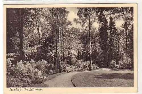 30041 Ak Dramburg Dans le Luisenhain vers 1930