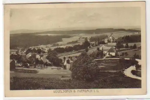 30039 Ak Vogelsgrün bei Auerbach im Vogtland um 1930