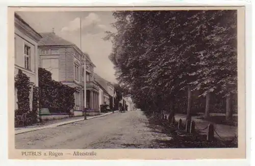 30025 Ak Putbus sur Rügen Alleestrasse vers 1930