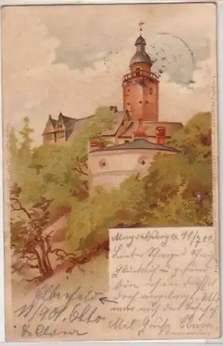 30021 Ak Lithographie Falkenstein im Harz 1901