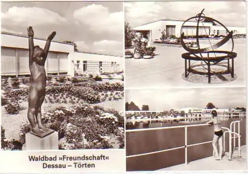 29856 Ak Dessau Törten Waldbad "Freundschaft" 1981