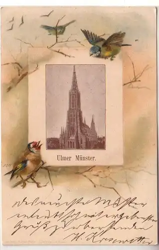 29762 Spatzen Ak Ulmer Münster 1899
