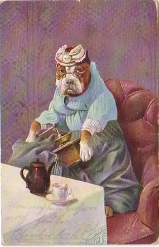 29715 Humor Ak chien avec lunettes et moulin à café 1905