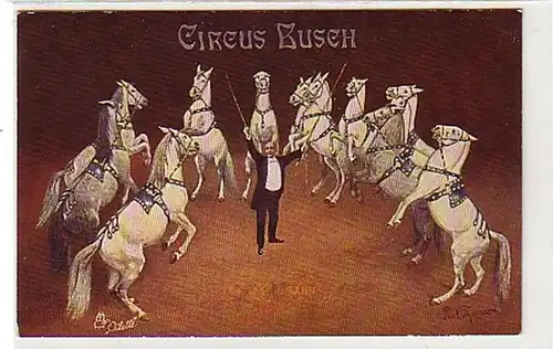 29618 Ak Circus Busch chevaux Dessur vers 1910