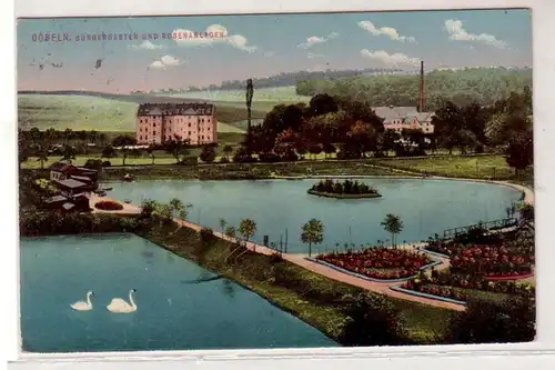 29602 Ak Döbeln Bürgergarten und Rosenanlagen 1913