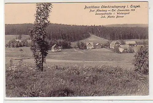 29560 Ak Buschhaus Oberhirschsprung im Erzgebirge 1920