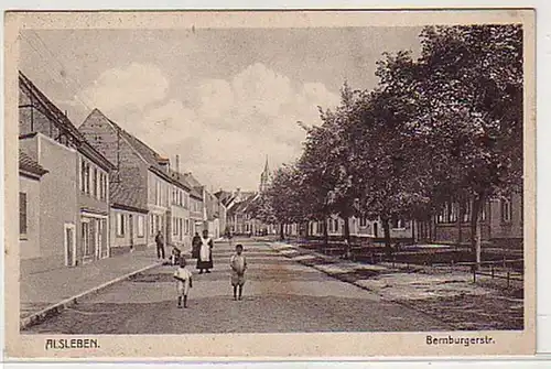 29016 Ak Alsleben Bernburgerstrasse vers 1910