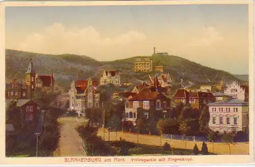 28434 Ak Blankenburg Villenpartie mit Ziegenkopf 1925